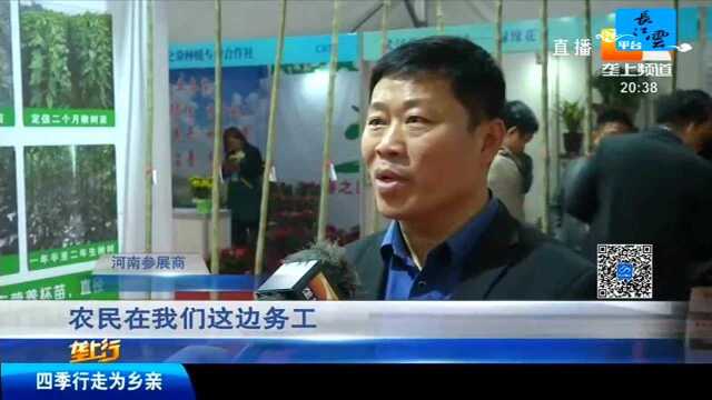 荆楚苗木观察 用好“绿色银行” 增添产业新活力