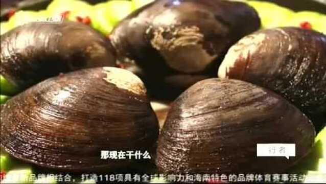 台湾美食马蹄蛤