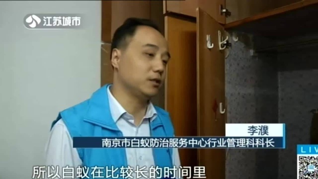 啄木鸟在行动:白蚁高发季 专业来灭杀