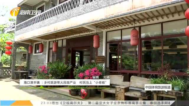 海口演丰镇:乡村旅游带火民宿产业