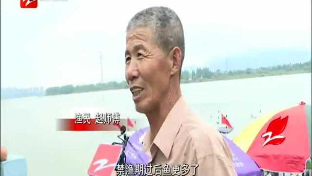 钱塘江禁渔期结束 刀鱼上市卖180元一斤