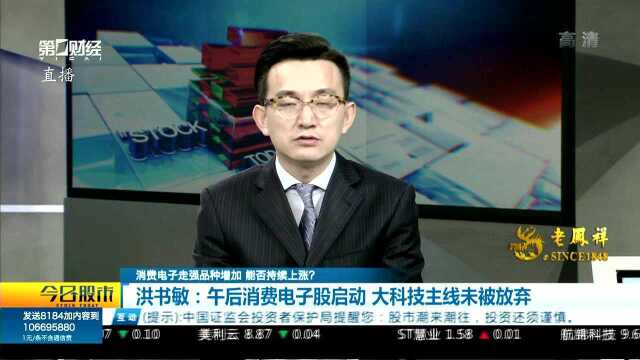 洪书敏:午后消费电子股启动 大科技主线未被放弃