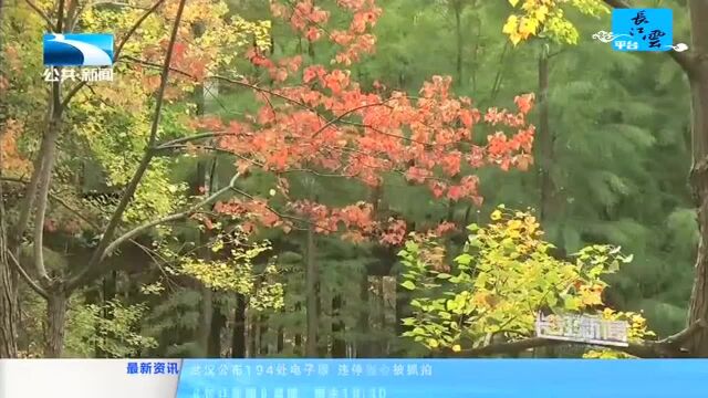 宜昌:秋光“打翻”调色盘 运河公园初现五彩美景