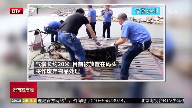 湖北宜昌:游动的三峡“水怪”被打捞上岸 系气囊