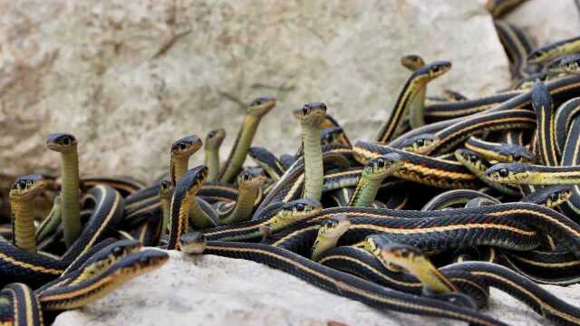 s640x360?max_age=7776000