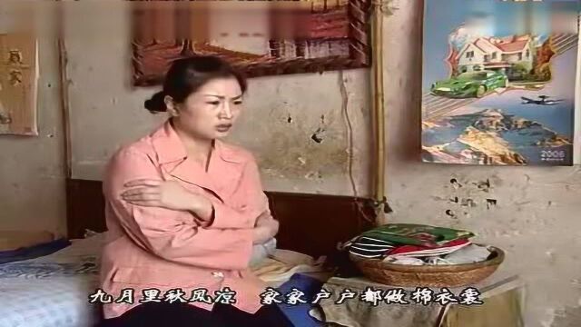 民间小调刘晓燕泪唱寡妇难太难了