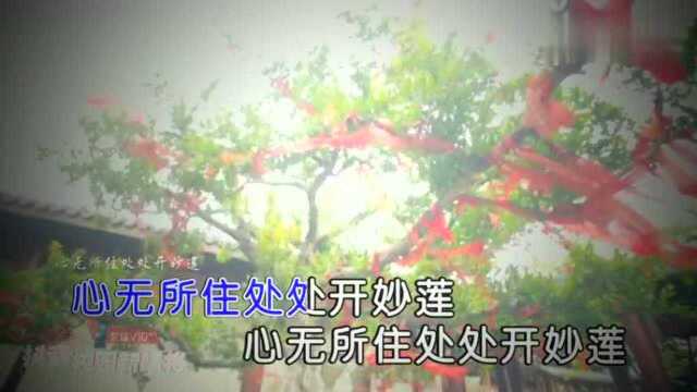 金灿佛歌一曲《简单》句句真理 唱出了心简单 世界就简单!