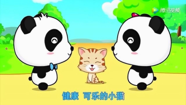 宝宝巴士 儿歌:早安小猫 小猫咪伸懒腰 喵喵好可爱