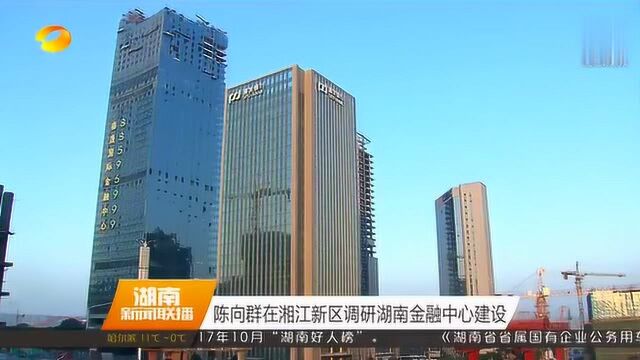 陈向群在湘江新区调研湖南金融中心建设