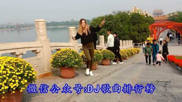 冯晓菲《女儿情》DJ车载2018版