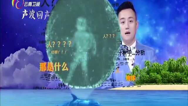 科学家翻译海豚声波,电脑强化画面,得出海豚“眼”中人的模样