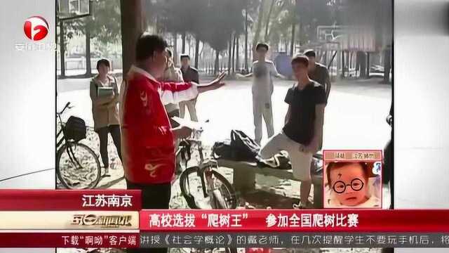 江苏南京:高校选拔“爬树王”,参加全国爬树比赛