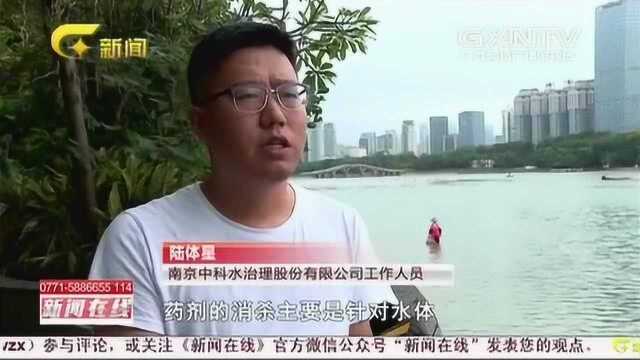 南宁南湖出现大量死鱼,市民担忧影响水质