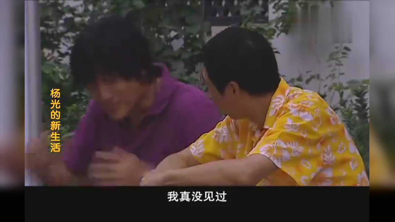 杨光的新生活燕子爸爸给燕子介绍了对象看条子是怎么给搅和的