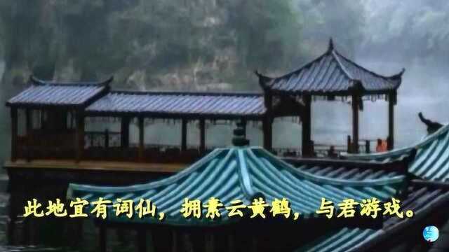 《翠楼吟ⷦ𗳧†™丙午冬》姜夔 视频朗诵“粉香吹下 夜寒风细”