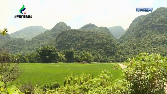 长远布局 科学规划 全力做好封开龙山风景名胜区修编工作