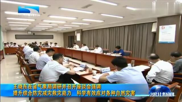 王晓东:提升综合防灾减灾救灾能力 科学有效应对各种自然灾害