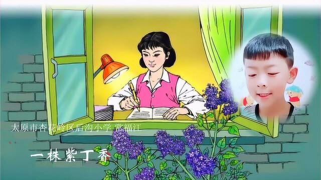 小学课文原文朗读一株紫丁香课文朗诵配乐视频