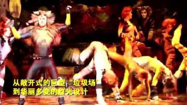 这只音乐剧中最经典的《猫》,又来广州了!