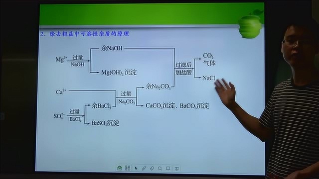 粗盐中可溶性杂质去除讲解微课 高中化学必修一第一章