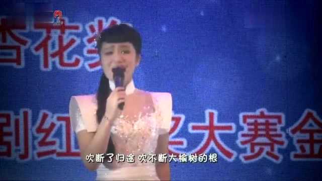 山西民歌《西口情》演唱 张红丽