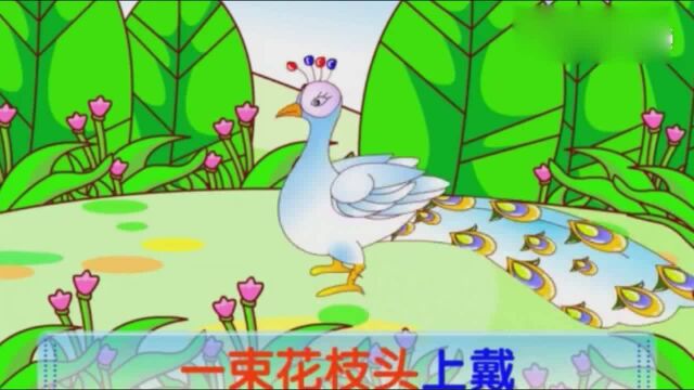 幼儿园小朋友儿歌教学:歌曲《金孔雀》动画视频