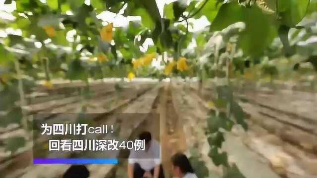 四川深改40例 中国二重扭亏脱困 全靠哪“三管”?