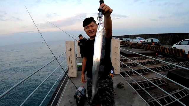 路亚海鲈竿天亚钩,海堤岸抛钓带鱼!