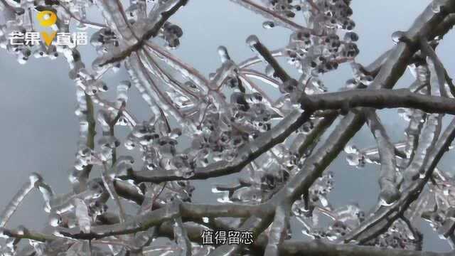 韶山滴水洞景区雪景如画,吸引众多游客前来赏景,惊呼太美了!