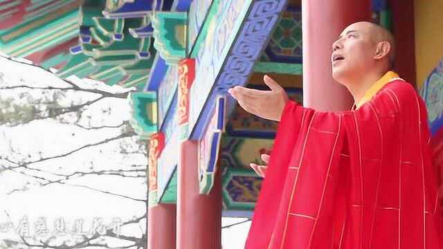 云泉法师最新佛教歌曲《阿弥陀佛莲花开》