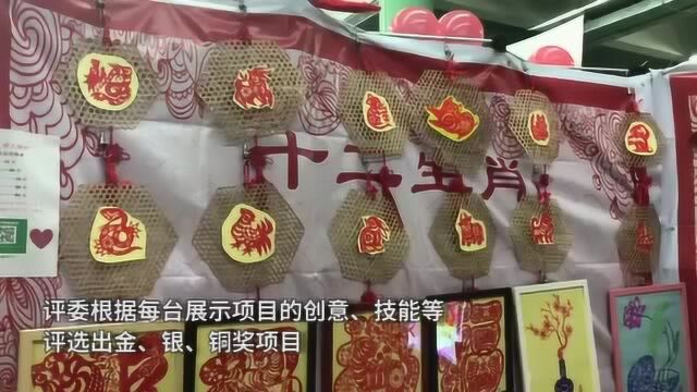 手工幻化“七彩马”,深圳这学校以“同乐”为名挖掘孩子无限潜能