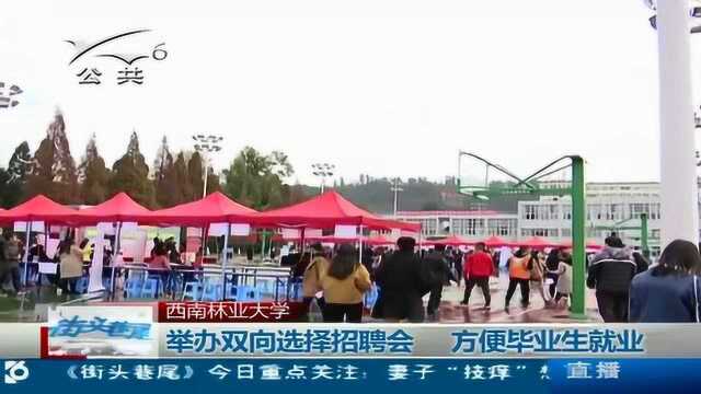 西南林业大学 举办双向选择招聘会 方便毕业生就业