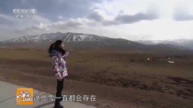 美丽中国乡村行:贵德寻秀——海拔3820m的拉鸡山,引众人称赞!