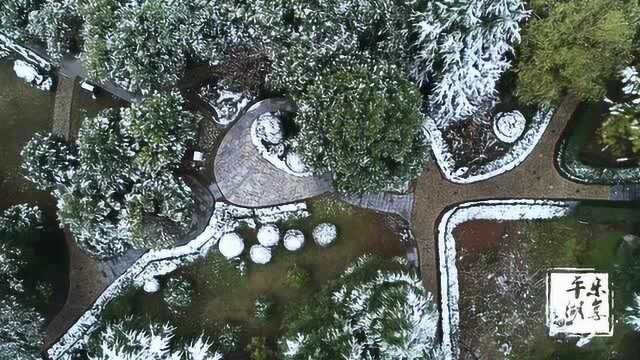 乐享平湖LOGO或是2018年的最后一场雪之东湖雪景