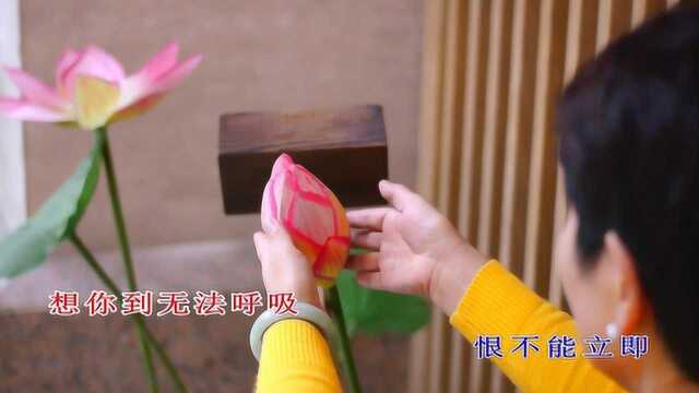 孟黎MV《我愿意》欢迎收看.