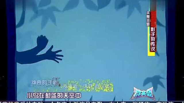 群英会:《神奇的手影》,表演者:沈晓,向小英,好神奇的表演