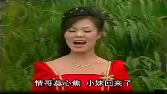 经典老歌曲《康定情歌情人桥》演唱徐善云,实在太好听