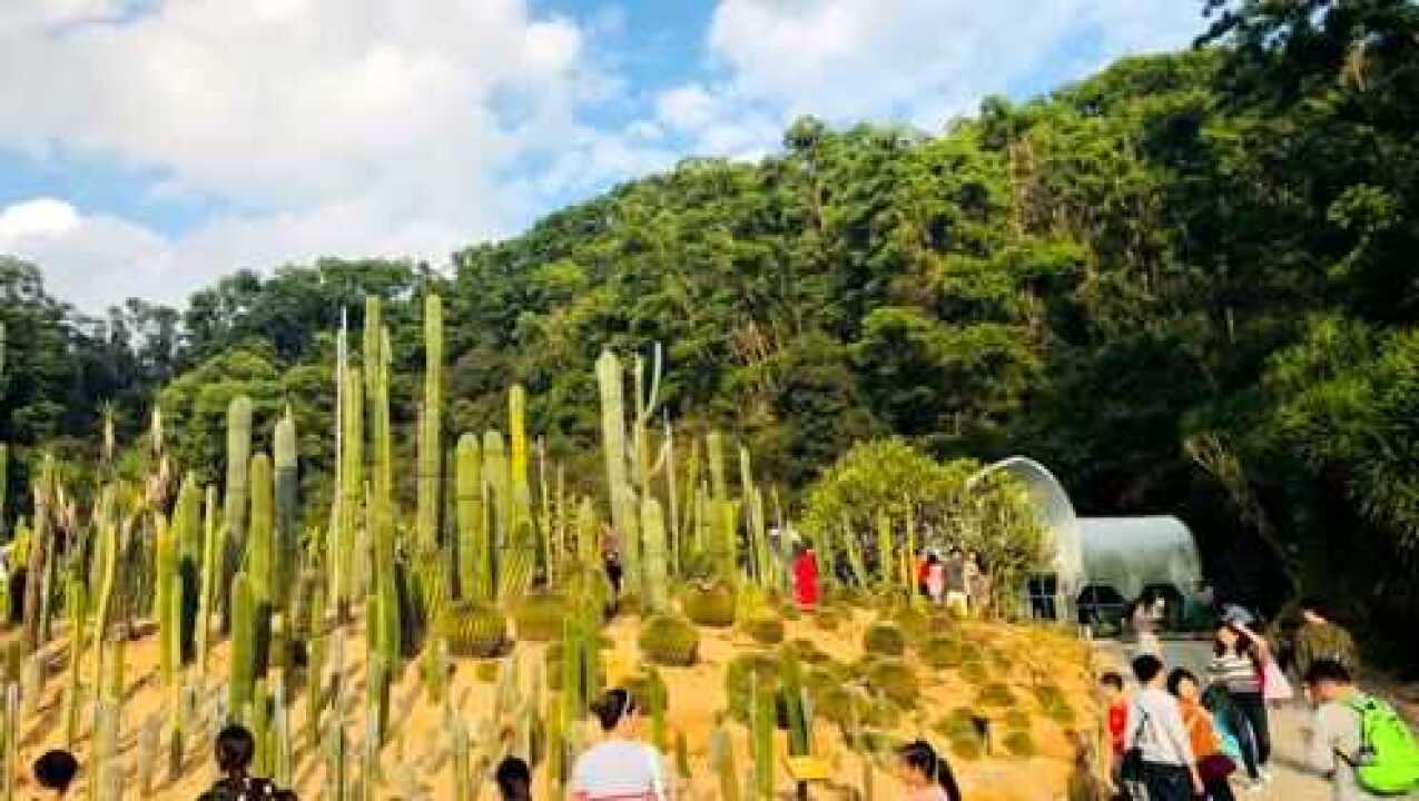 广东省深圳市罗湖区仙湖植物园旅游腾讯视频