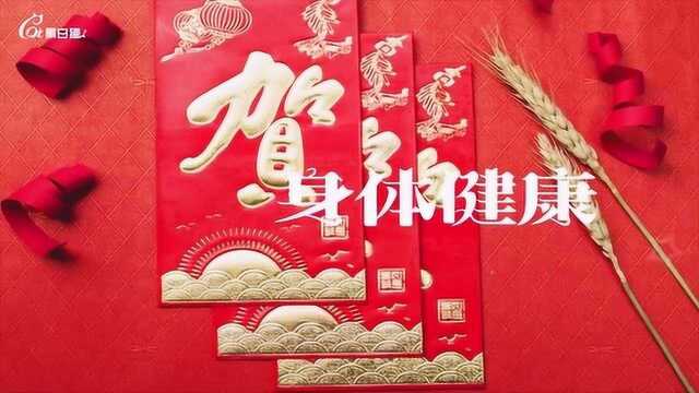 2019年猪年对于属猪的人来说事业是怎么样的呢