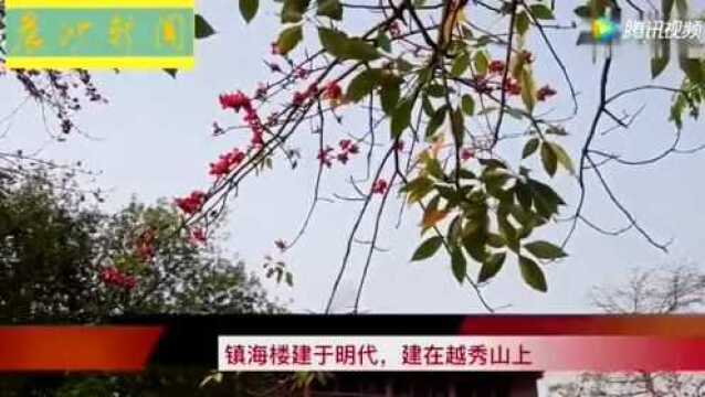 红棉花下有故事:广州镇海楼 广州镇海楼建在越秀山上 始建于明代