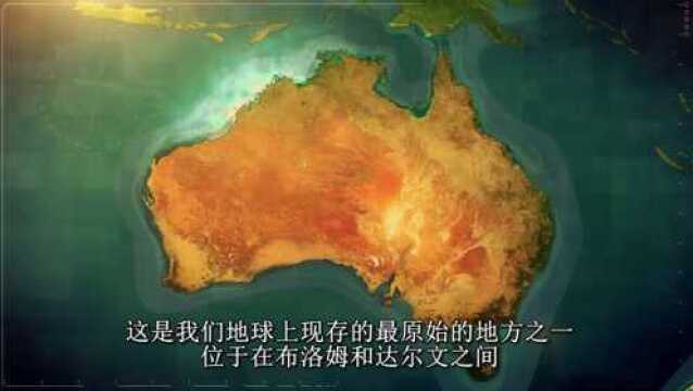 一枚价值150万元的澳洲南洋珍珠是如何形成的 详解彩虹珍珠的形成