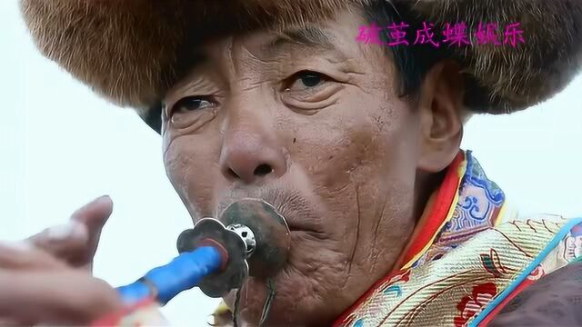 场面壮观的西藏赛马!