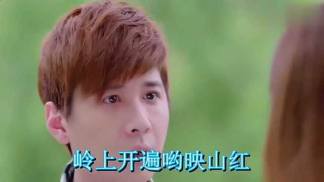 宋祖英经典老歌《映山红》,声音悦耳,让人大饱耳福