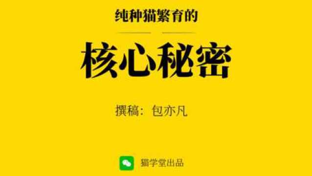 CFA 猫舍的注册流程