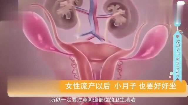 女性流产以后,“小月子”也要好好坐,这3个事项要注意,你知道吗?