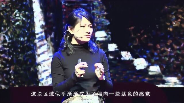 TEDxSuzhou 张秋实:光艺术的秘密