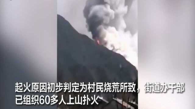 风火山林!商洛突发森林大火,因村民烧荒所导致