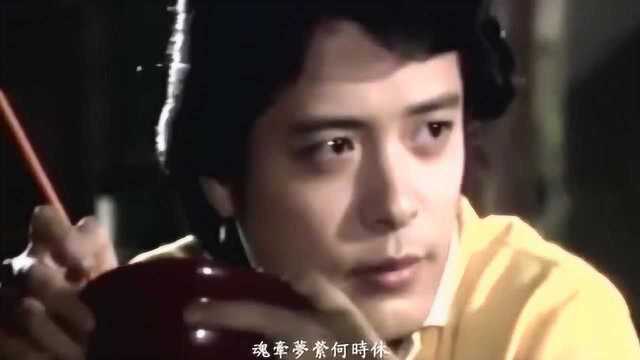 刘文正却上心头1981