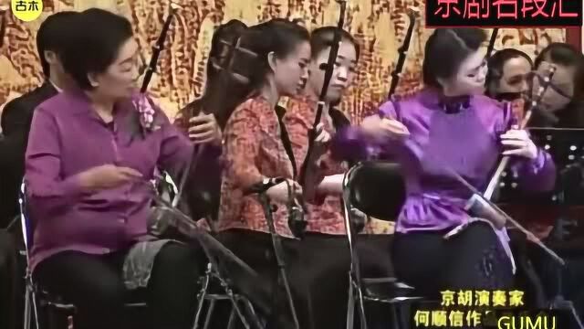 美女京胡演奏家王彩云,京胡独奏张派京剧《望江亭》