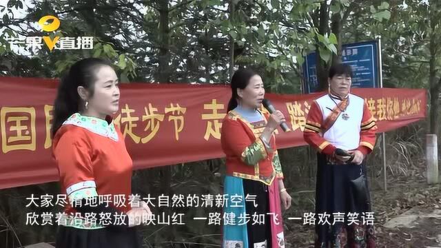 怀化辰溪:徒步“山寨马拉松” 踏青公益两不误